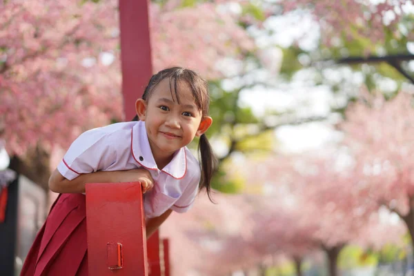 Feliz Jardim Infância Asiático Menina Jardim Sob Flor Sakura Árvore — Fotografia de Stock