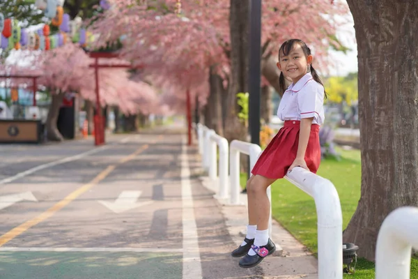 Feliz Jardim Infância Asiático Menina Jardim Sob Flor Sakura Árvore — Fotografia de Stock