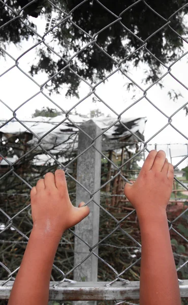 Child's hands clutching fence — Stock Photo, Image