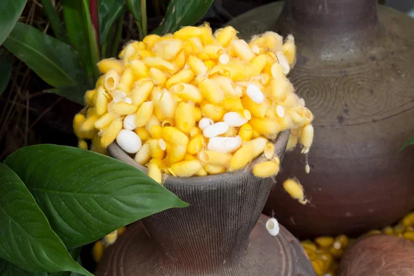 Pile of silkworm cocoons — Stock Photo, Image