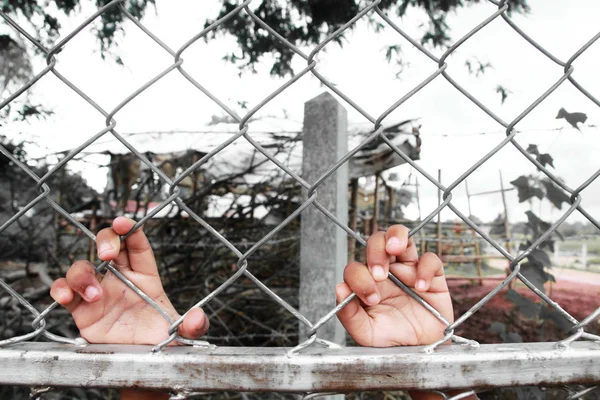 Child's hands clutching fence — Stock Photo, Image