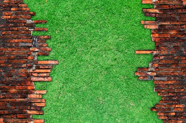 Red brick with green grass — Stock Photo, Image