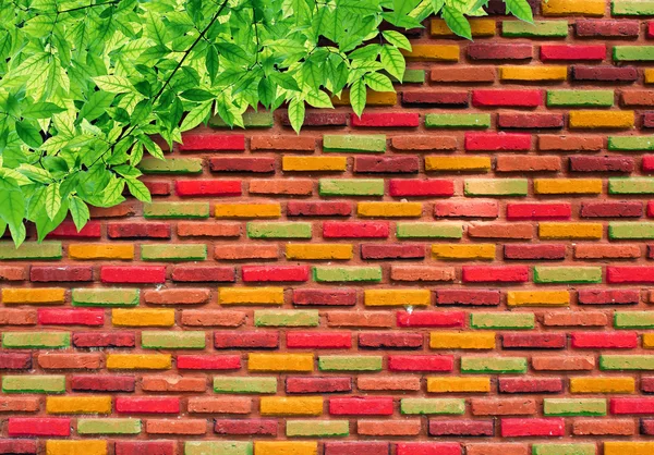 Brick wall texture — Stock Photo, Image