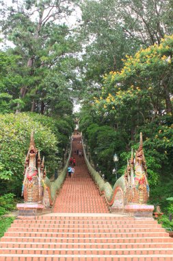 Ejderha satutes merdivenleri