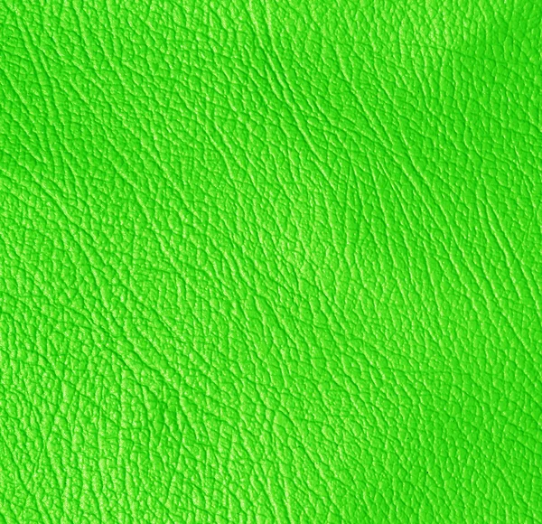 Textura de couro fundo — Fotografia de Stock