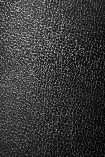 Texture cuir fond — Photo