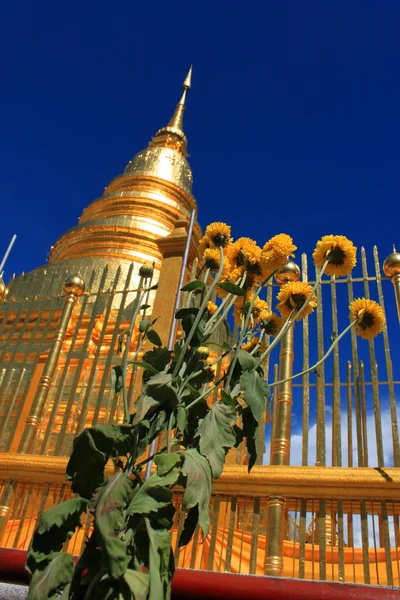 Stupa dorata nel tempio — Foto Stock