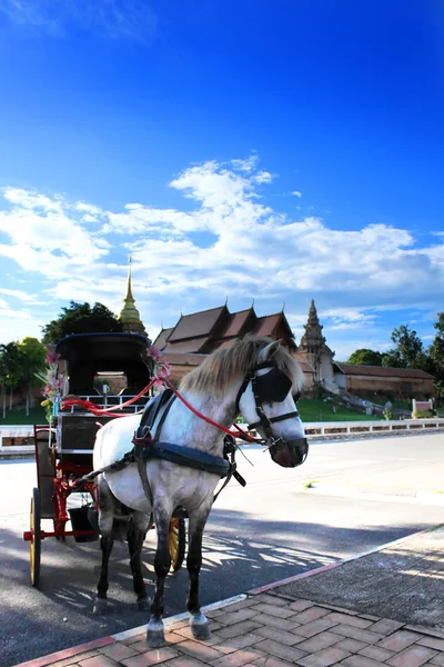 Carriage with horse near temple — Stock Photo, Image