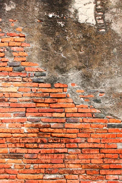 Antiguo muro de ladrillo —  Fotos de Stock