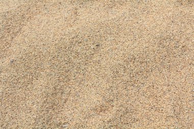 Unmilled pirinç doku