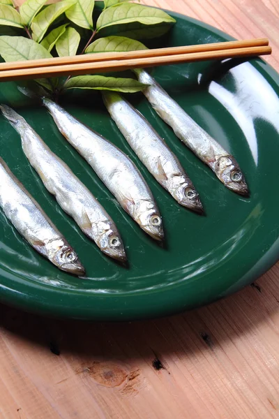 Japanese shishamo smelt — Stock Photo, Image