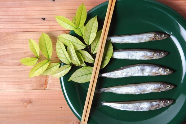 Japonské shishamo tavit — Stock fotografie