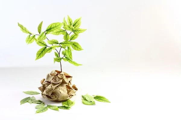 Растение из переработанной бумаги — стоковое фото