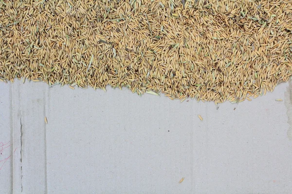 Cardboard and rice texture — Stock Photo, Image