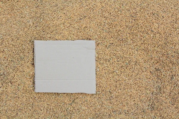 Blank cardboard on rice texture — Stock Photo, Image