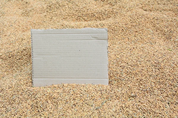 Blank cardboard on rice texture — Stock Photo, Image