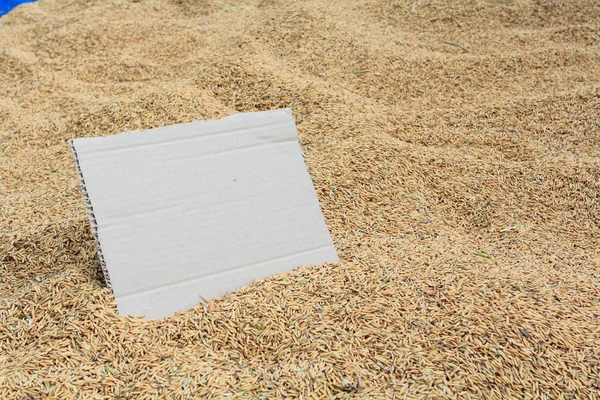 Blank cardboard on rice texture — Stock Photo, Image