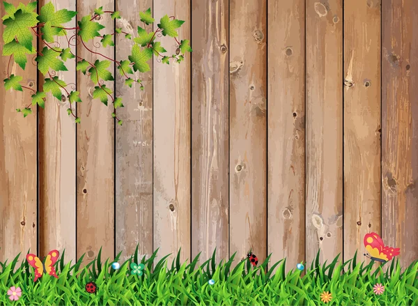 Fresca hierba verde primavera con planta de hoja sobre valla de madera — Vector de stock