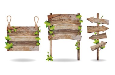Wooden signs with green leaves decorative elements, Vector illus clipart