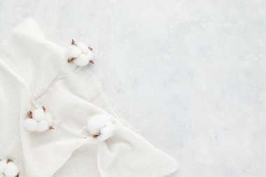 Sonbahar kompozisyonu, beyaz arka planda pamuk çiçekleri. Düz konum, kopyalama alanı olan üst görünüm