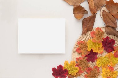 Sonbahar kompozisyonu, kurumuş yapraklar. Bej arka planda pamuk çiçekleri ve çam kozalakları. Düz konum, kopyalama alanı olan üst görünüm