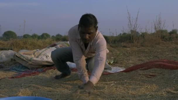 District Katni Madhya Pradesh India November 2020 Indian Male Farmer — Stock Video