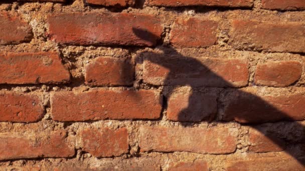 Hand Schatten Horror Ausdruck Auf Roter Farbe Erde Gemacht Ziegelmauer — Stockvideo