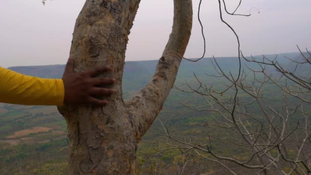 Hombre Mano Mantenida Árbol Rama Madera Bosque Fondo Macho Depresión — Vídeos de Stock