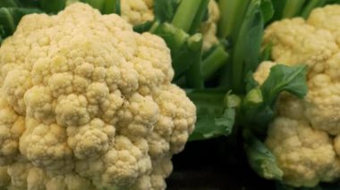 Tarım gıda pazarında beyaz yeşil renkli sebzeler..