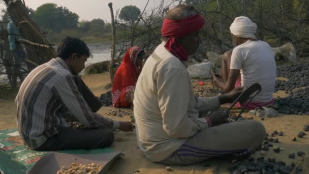 Distrikt Katni Madhya Pradesh Indien Januari 2021 Grupp Indiska Bybönder — Stockvideo
