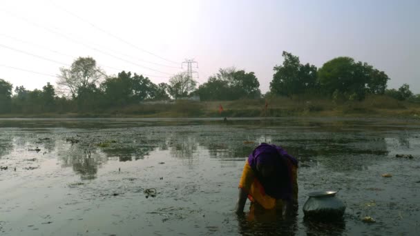 Katni Bölgesi Madhya Pradesh Hindistan Ocak 2021 Gölde Kestanesi Arayan — Stok video