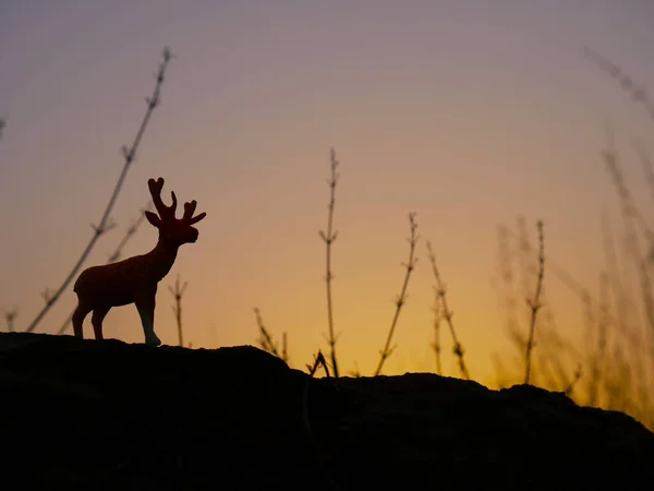 7,200+ Deer In Sunset Stock Photos, Pictures & Royalty-Free Images