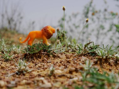Yeşil çimlere yakın aslan doğal alan oyuncağı vahşi yaşam sunumu