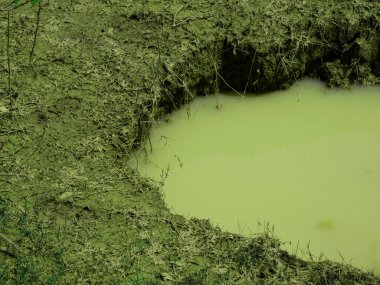 Yarı su, yarı toprak, doğal görüntü.