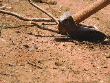 Demir Balta 'yı yakından çekerken toprak tarlasında ahşap kökler kesiyor.