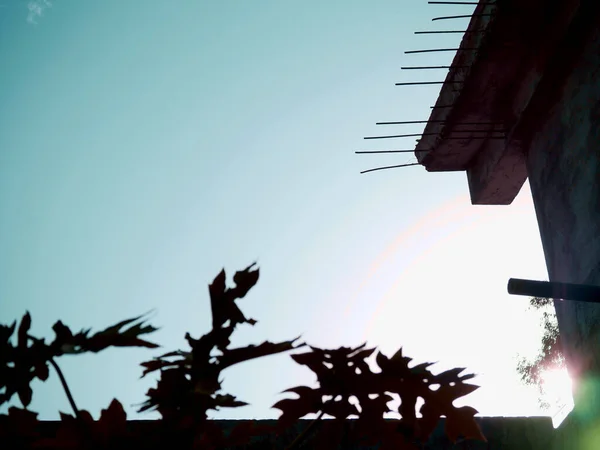 Semi constructed house side view with sky and leaves on the picture