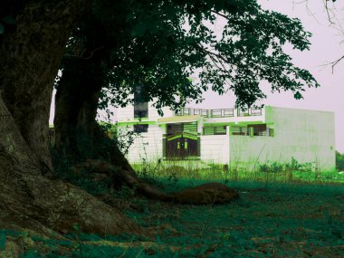 Doğal çevre çevresi etrafında güzel bir ev Hint tarzı görüntü