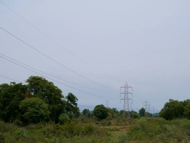Orman yeşili tarlada elektrik kulesi var..