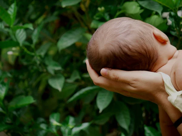 Cabeça Bebê Isolado Jardim Natural Verde Conceito Maternidade — Fotografia de Stock