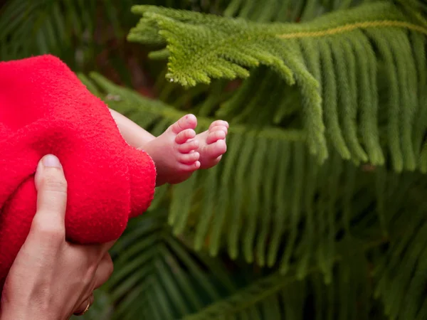 Bonito Bebê Apresentado Por Mãe Mão Verde Natureza Fundo — Fotografia de Stock