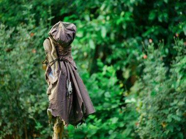 Ekinleri kuşlardan korumak için plastik horoz kaçağı.