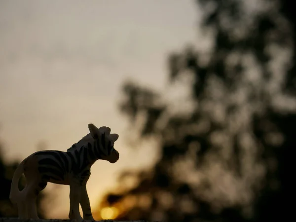 Zebra Giocattolo Animale Stand Bel Tramonto Cielo Sfondo Silhouette Bambini — Foto Stock