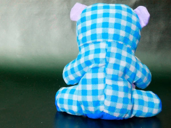 Teddybär Animal Plüschtier Auf Blauem Karomuster Kinder Spielen Objektbild — Stockfoto