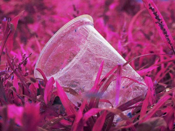 Liquor glass lying on green grass natural filed, Nature plastic object pollution concept.