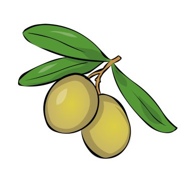 İki yeşil zeytin dalı yaprakları ile. 