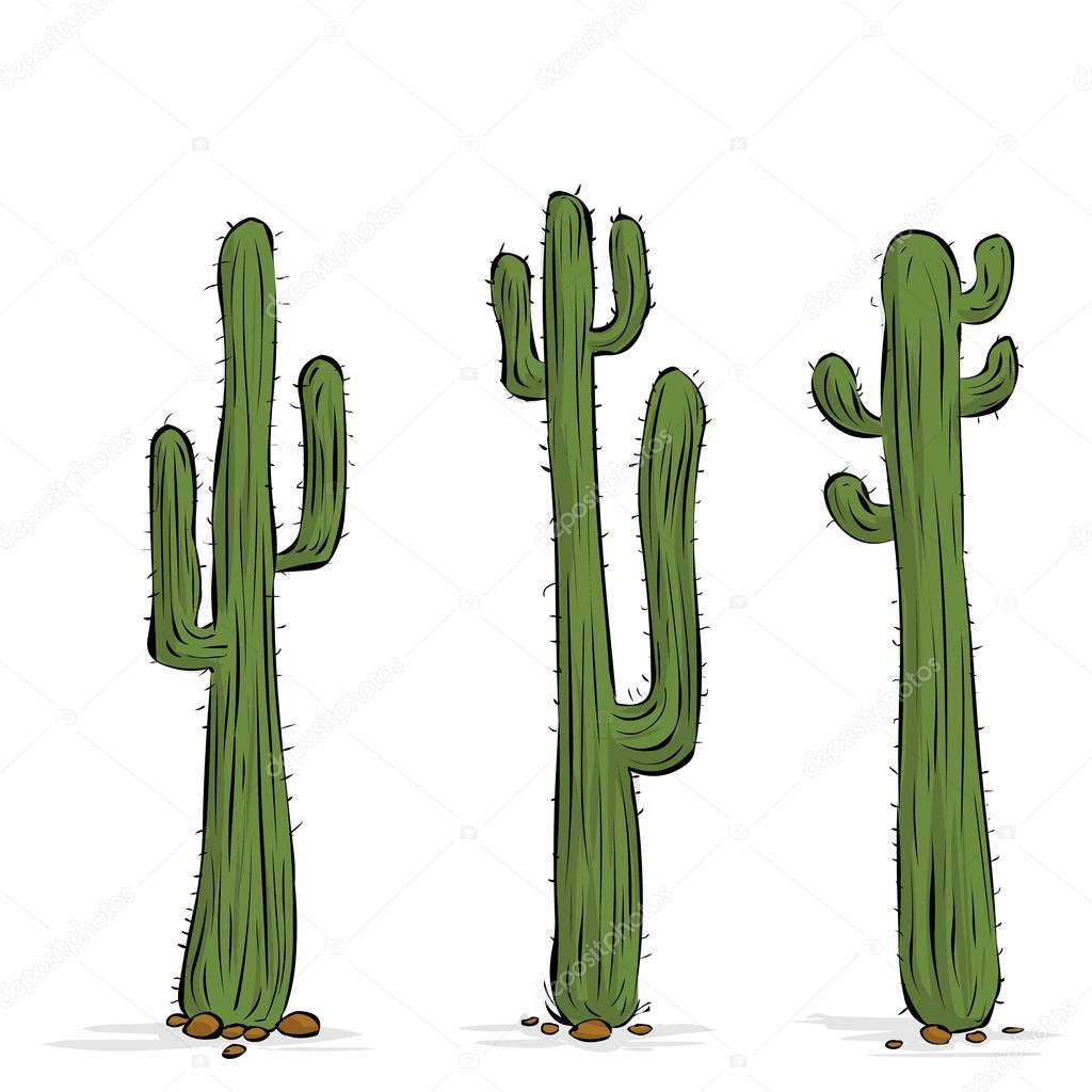 Three Mexican cactuses