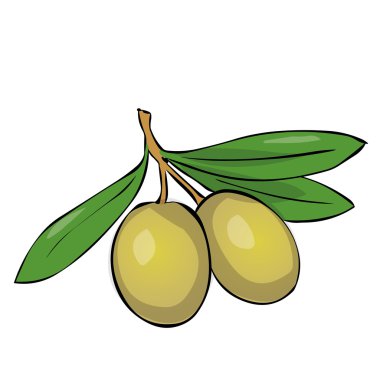 İki yeşil zeytin dalı yaprakları ile. 