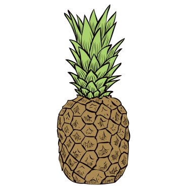 büyük olgun ananas üzerinde beyaz izole