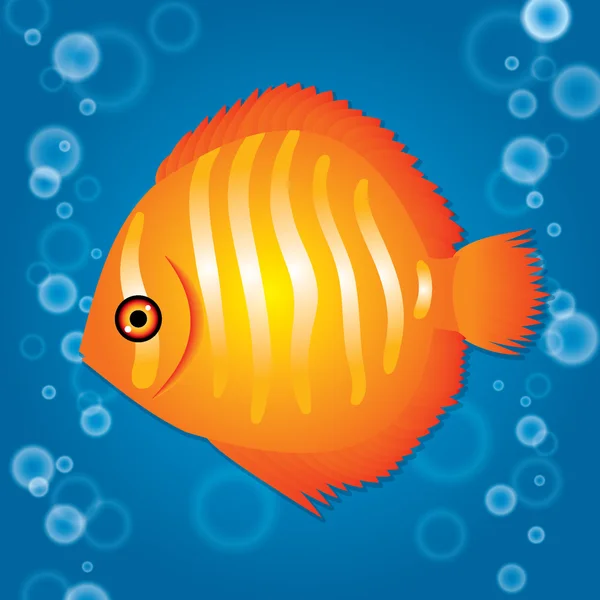 Big golden fish — Stock Vector