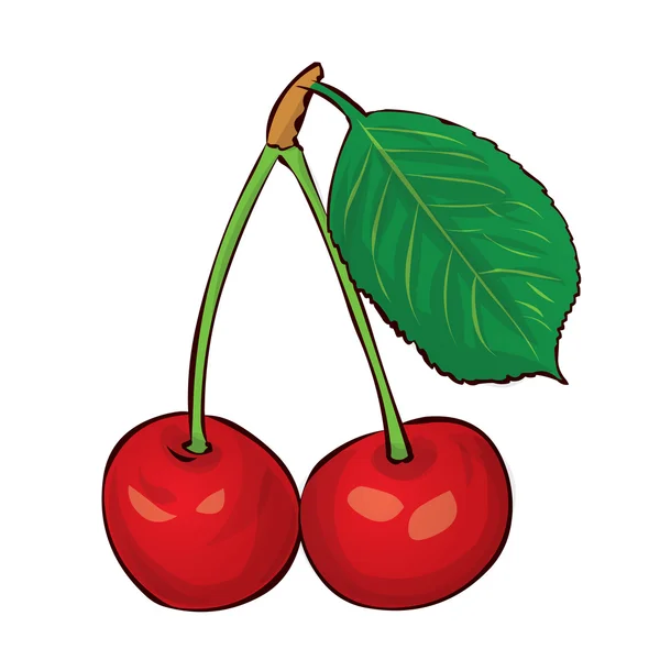 Dos cerezas rojas en una rama con hoja — Vector de stock